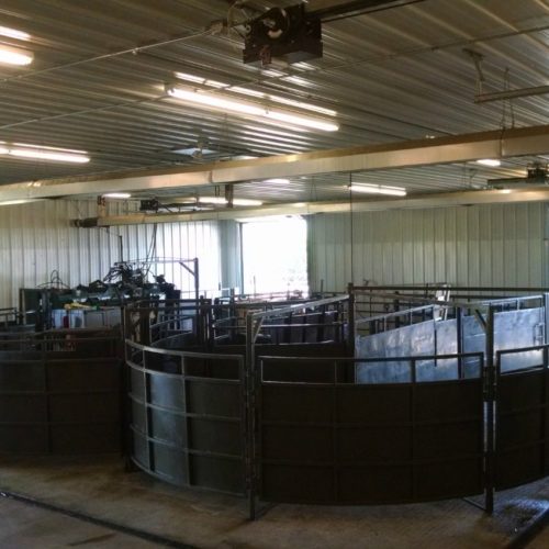 Located on the far north side of our clinic, our chute allows us to easily exam your cattle.