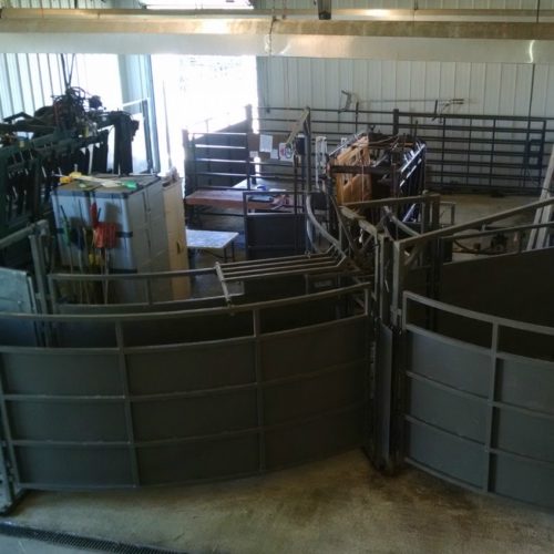 Our chute allows for easy flow of cattle and includes space for livestock to gather before being loaded.